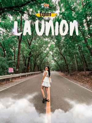 3D2N LA UNION-BAGUIO PRIVATE TOUR PACKAGE - Tour Package Image